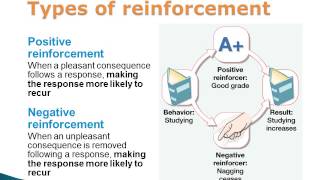 Operant Conditioning Positive and Negative Reinforcement and Punishment [upl. by Silecara]