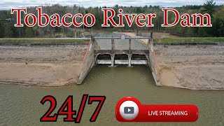 Tobacco River Dam  Michigan  247 HD Live Stream [upl. by Xela191]