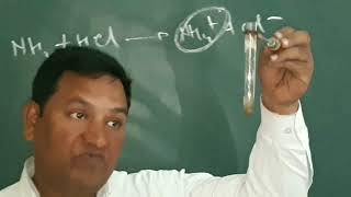 Salt analysis Amonium and Chloride class12 chemistry ncert practical [upl. by Amoreta]