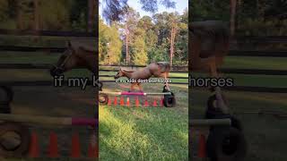 Very true equines horse equestrian funny winniethepooh [upl. by Notlem]