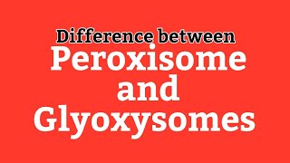 Difference between Peroxisomes and Glyoxysomes  Cell Biology  Cell Organelles  UrduHindi Lecture [upl. by Affer]