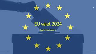 EU valet 2024  De viktigaste frågorna och vad de olika svenska partierna tycker amp tänker [upl. by Claudie]