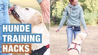 Hund beschäftigen  HUNDE GEISTIG AUSLASTEN  HUNDETRAINING HACKS  Hundeerziehung [upl. by Beckett]