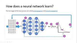 convolutional neural network CNN [upl. by Enamart287]