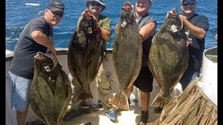 Mirage Sportfishing  California Halibut Fishing 55lb and 36lb 08172011 Channel Islands [upl. by Luise]