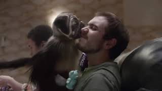 Mountain Dew׃ quotPuppy Monkey Babyquot  2016 Super Bowl Commercial [upl. by Benedetto]