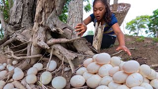 Beally Amazing Really Skilled farmer finds many duck eggs near tree trunk [upl. by Jennee]