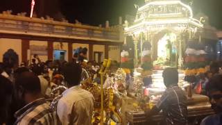 Thanga Ratham Golden Chariot Palani Temple [upl. by Pepita473]