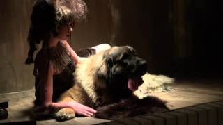 Photoshoot with Leonberger Dog [upl. by Parent266]