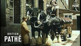 Changing Face Of London 1962 [upl. by Joktan]