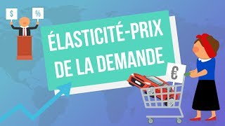 L’élasticité prix croisée  microéconomie S1 [upl. by Lawton]