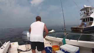 Whale capsizes fishing boat off Jersey Shore [upl. by Sublett752]