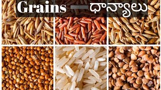 Cereals and grains names in english cereals names in telugu cereals and grains names in telugu [upl. by Timothee825]