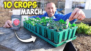 10 Crops youd be Foolish Not to Plant in March [upl. by Odranar]