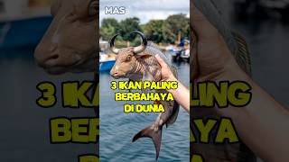 3 ikan paling berbhaya di dunia Nomor 3 bahaya banget shorts [upl. by Irama612]