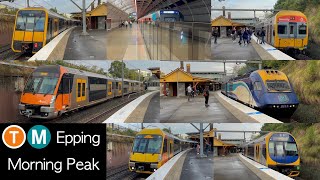 Transport for Sydney Vlog 695 Epping Part 4  Morning Peak Trains [upl. by Ecinaej]