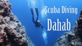 Scuba Diving  Dahab 2024 [upl. by Herold]