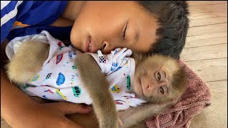 WOW Somnang monkey like a little boy and he play a lot together [upl. by Nanaj]