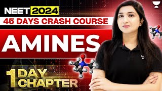 1 Day 1 Chapter Amines  45 Days Crash Course  NEET 2024  Akansha Karnwal [upl. by Shultz]