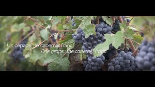 Le Vignoble de Bourgueil  berceau du cabernet franc [upl. by Sartin]