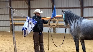 My top 3 favorite tools to desensitize a horse [upl. by Pacien]