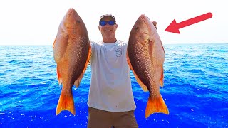 Snapper Fishing 30 MILES Offshore How To Techniques [upl. by Prinz747]