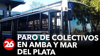 AHORA  Paro de colectivos en AMBA y Mar del Plata [upl. by Beller]