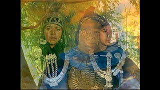 Mapuche Kutran  La salud mapuche [upl. by Asirrac]