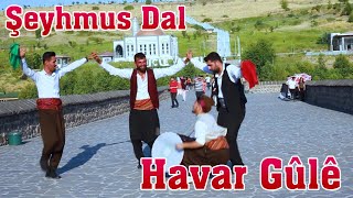 Havar Güle Halay Govend Cida  Şeyhmus Dal  Official Video [upl. by Keffer464]