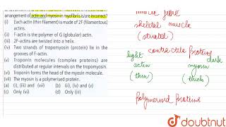 Which of the following statements about the molecular arrangement of actin and mysin In myofibre [upl. by Lotty]