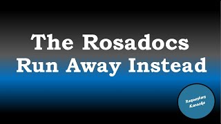 The Rosadocs  Run Away Instead Karaoke Version [upl. by Stalker]