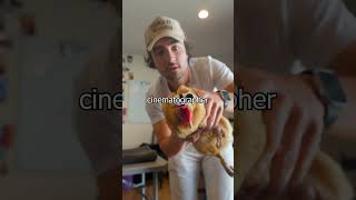 I Put A Camera On A Chickens Head [upl. by Ahcsatan]