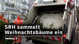 Weihnachtsbäume Stadtreinigung Hamburg hat mit Einsammlung begonnen [upl. by Belen]