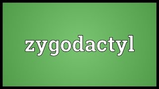 Zygodactyl Meaning [upl. by Atsahc]