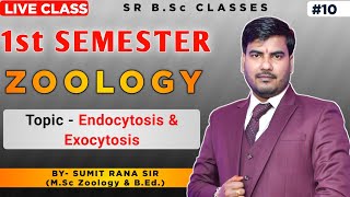 Cells Part 5 Endocytosis and Exocytosis [upl. by Asoj6]