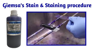 Giemsa stain and Giemsa staining procedure clearly explain in Hindi जिम्सा स्टैनिंग फ़ॉर मलेरिया [upl. by Chil]