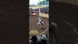 Charros rodeo caballos manganas a caballo botines chpestañas [upl. by Ardnaiek]