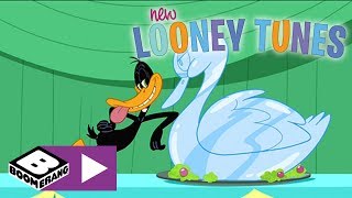 New Looney Tunes  Daffy And The Swan  Boomerang UK [upl. by Sirmons]