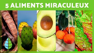 5 ALIMENTS MIRACULEUX que vous devriez INCLURE dans votre RÉGIME 🥑✅ [upl. by Anilef395]