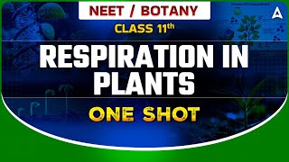 RESPIRATION IN PLANTS CLASS 11 ONE SHOT  NEET 2024  NCERT LEVEL UP  BOTANY BY SANKALP BHARAT [upl. by Iverson281]