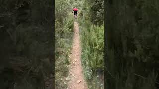 persiguiendo al compi biker por los corriols 🚵 mtb bike ciclismo mtblife btt bicicleta [upl. by Ecinna]