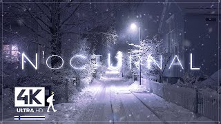 3 Hours of Pure Heavy Snowfall Night Walks in Finland  Slow TV 4K [upl. by Nomyaw]