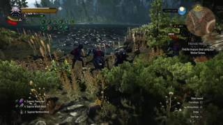 Witcher 3 Wild Hunt  Contract Muire Dyaeblen NO COMMENTARY [upl. by Pepe]