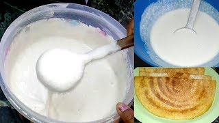 தோசை மாவு அரைப்பது எப்படி  How To Make Crispy Dosa Mavu  South Indian Recipes [upl. by Lyndell]