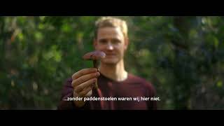 Paddenstoelen Wandeling PROMO  Vincent van Woerkom [upl. by Mccarthy]