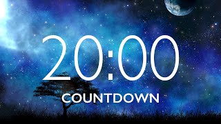 20 Minute Timer with Relaxing Music and Alarm 🎵⏰ [upl. by Placidia]