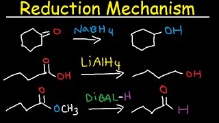 NaBH4 LiAlH4 DIBAL Reduction Mechanism Carboxylic Acid Acid Chloride Ester amp Ketones [upl. by Carolina590]