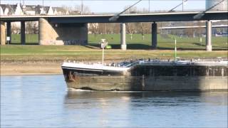 Binnenschiff Dissidentia auf dem Rhein bei Düsseldorf [upl. by Nathaniel]