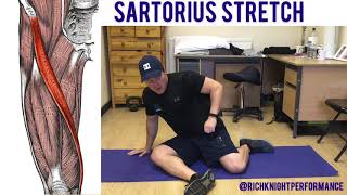 Sartorius Muscle Stretch [upl. by Nnylsoj231]