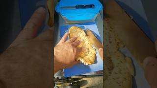 Cooking a Dryads Saddle Mushroom garden gardening mushroom foraging wildmushrooms [upl. by Berkman]